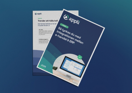 Guide: Så lyckas du med integrationen mellan e-handel & ERP